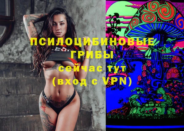 дмт Кукмор