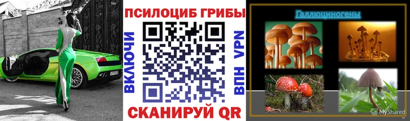 Купить  Рославль  Галлюциногенные грибы мухоморы 